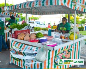 Apoio efetivo da Gestão Municipal em parceria com o Governo do Estado promove feira da agricultura familiar