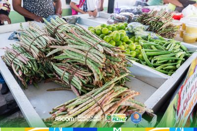 Feirinha da Agricultura Familiar fortalece produtores e valoriza cultura em Aldeias Altas